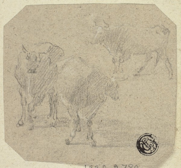 Three Cows, n.d. Creator: Unknown.