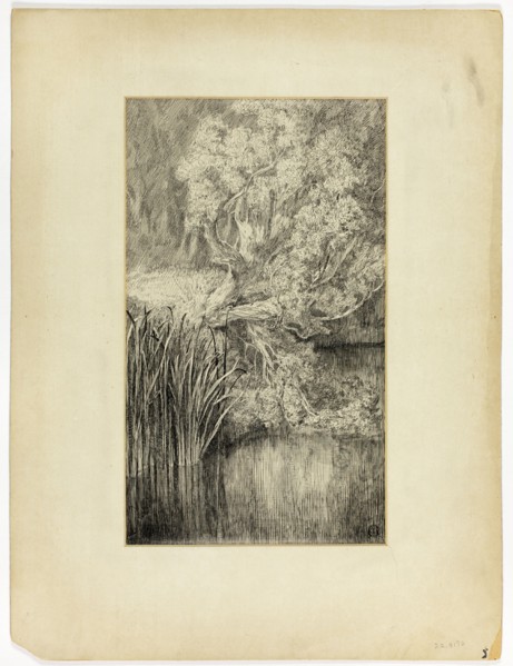 Little Pond in Woods, n.d. Creator: Unknown.