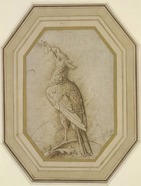 Bird on a Branch, ca. 1470-1480. Creator: Mantegna, Andrea (1431-1506).