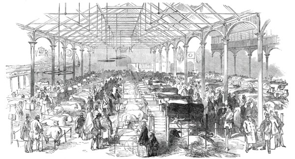 Exhibition of the Birmingham and Midland Counties Agricultural Association..., 1850. Creator: Unknown.