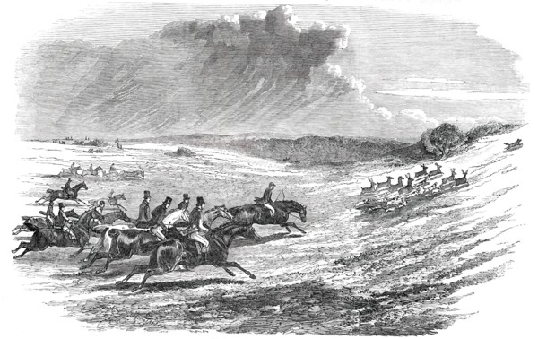 Chase of a Jackal, in the New Forest, 1850. Creator: Unknown.