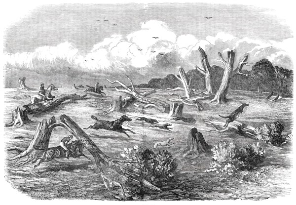 Full Cry, 1850. Creator: Unknown.