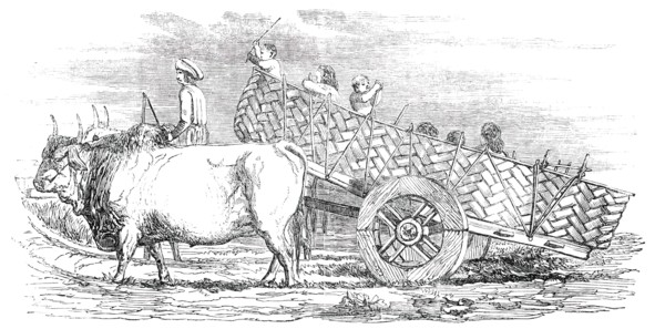 Gujerat Village-Cart, 1850. Creator: Unknown.