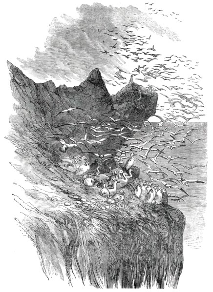 The Bass Rock, 1850. Creator: Unknown.