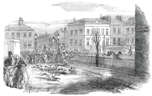 Stag Hunt in the New-Road on Tuesday, 1850. Creator: Unknown.