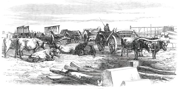 Russian Bullock Carts, 1850. Creator: Unknown.