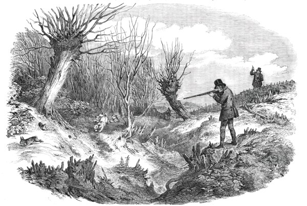 Rabbit-Shooting near Tunbridge - drawn by Duncan, 1850. Creator: Unknown.