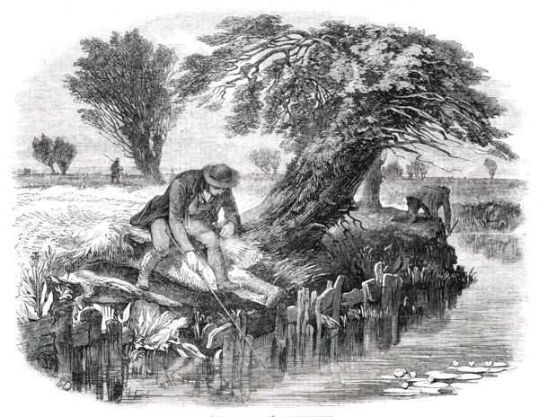 Sniggling for Eels - drawn by Duncan, 1850. Creator: Mason Jackson.