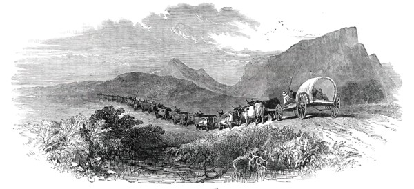 Cape Waggon, 1850. Creator: Unknown.