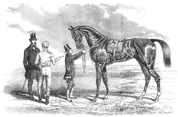 Wanota, Winner of the Ascot Stakes, 1850. Creator: Unknown.
