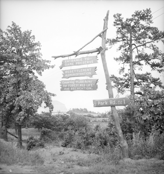 Resettlement project located near Gainesville, Georgia, 1936. Creator: Dorothea Lange.