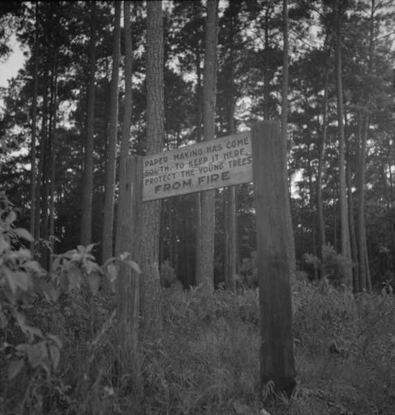Roadsign, Fullerton, Louisiana, 1937. Creator: Dorothea Lange.