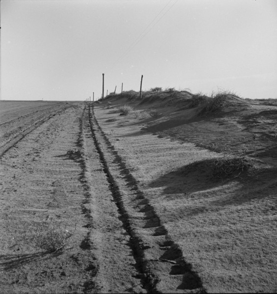 Sand drift along fence, Dust Bowl, north of Dalhart, Texas, 1938. Creator: Dorothea Lange.