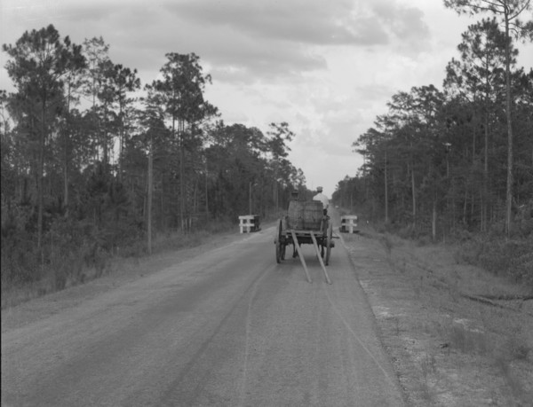 Wagon hauling turpentine out of the woods, Georgia, 1937. Creator: Dorothea Lange.