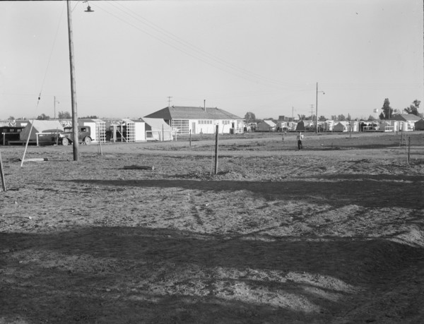 Migratory labor camp during pea harvest, FSA, Brawley, Imperial Valley, California , 1939. Creator: Dorothea Lange.