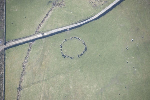Sunkenkirk Stone Circle, Cumbria, 2016. Creator: Dave MacLeod.