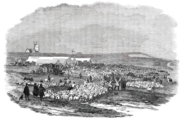 Lewes Great Sheep Fair, 1850. Creator: Unknown.