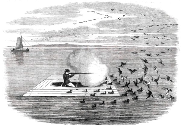 Wild Duck Shooting on the Potomac, 1850. Creator: Unknown.