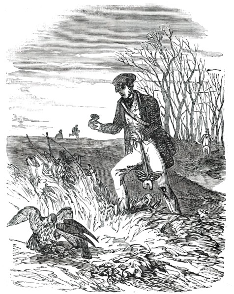 Falconer about to Disengage Falcons from Quarry, 1850. Creator: Unknown.
