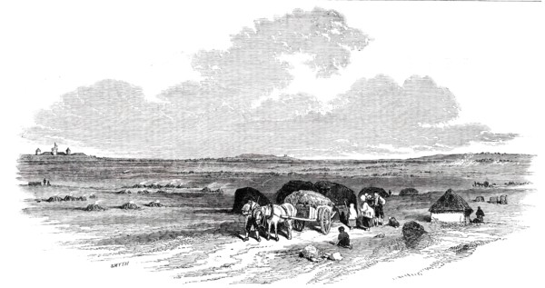 The Bog of Allen, from the Canal Side, 1850. Creator: Smyth.