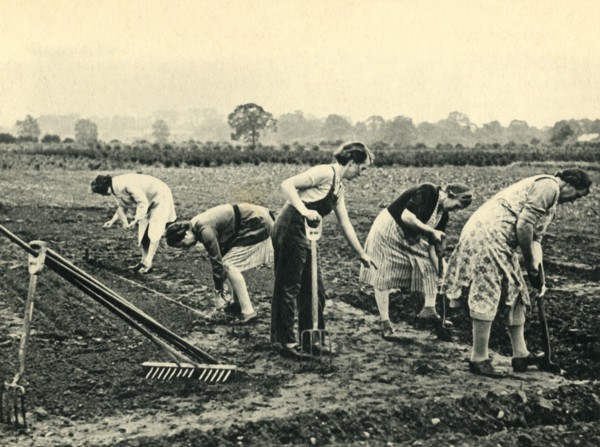 'Digging and Planting', 1943. Creator: Unknown.
