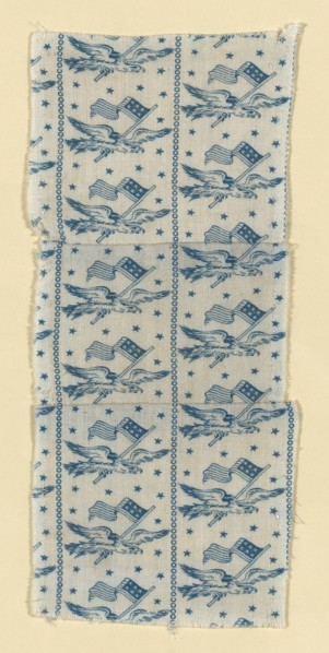 Fragment, United States, 1876. Creator: Unknown.