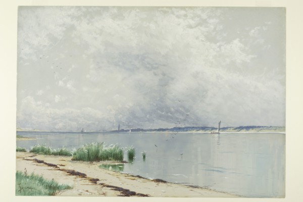 Reflected Reeds, c. 1875. Creator: Alfred Thompson Bricher.