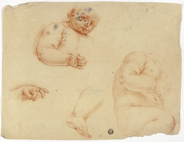Sketches of a Child:  Half-Length, Torso, Foot, Hand, 1700/1799. Creator: Unknown.