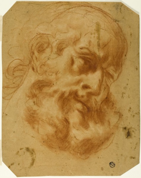 Bearded Head, n.d. Creator: Unknown.