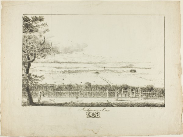 View of Mulhouse, 1810, printed 1814/16. Creator: Mathieu Mieg.