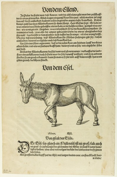 Illustration from "Thierbuch", plate 42 from Woodcuts from Books of the XVI Century...1937. Creators: Hans Asper, Max Geisberg.