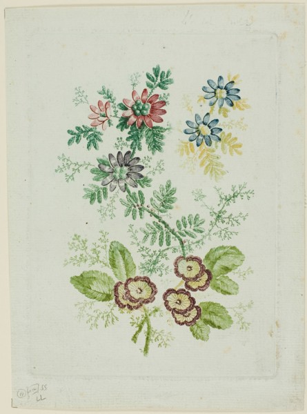 Flowers, 1796/1808. Creator: Anne Allen.