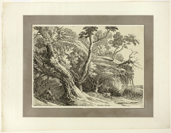 Landscape with Large Trees, from the first issue of Specimens of Polyautography, 1802. Creator: Richard Cooper.