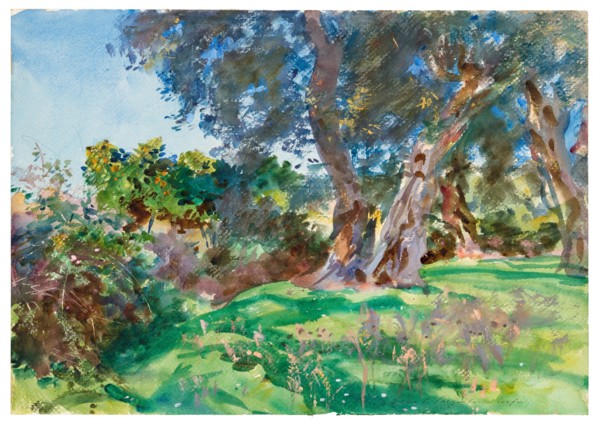 Olive Trees, Corfu, 1909. Creator: John Singer Sargent.