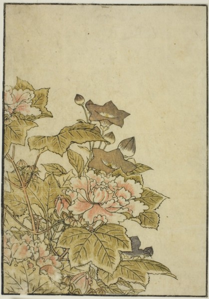 Autumn Flowers: Peonies and Bellflowers, from the book "Mirror of Beautiful Women of the..., 1776. Creator: Shunsho.