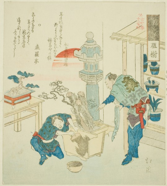 Potted Plant (Ueki), from the series "Eighteen Illustrations of the Ladder of Ancient Words..., 1831 Creator: Totoya Hokkei.