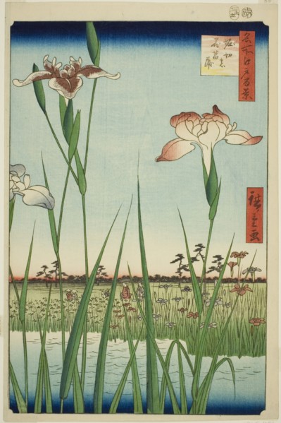 Irises at Horikiri (Horikiri no hanashobu), from the series "One Hundred Famous Views of..., 1857. Creator: Ando Hiroshige.