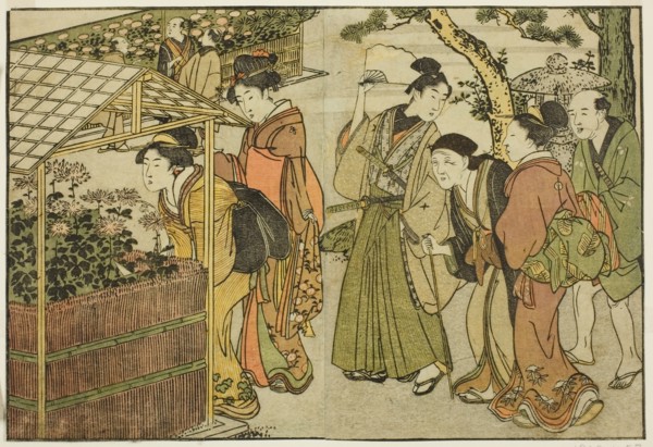 Display of Chrysanthemums, from the illustrated book "Picture Book: Flowers of..., New Year, 1801. Creator: Kitagawa Utamaro.
