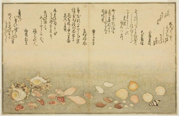 Shiro-gai, namima-gashiwa, makura-gai, iro-gai, aza-gai, sadae-gai, from the illustrated b..., 1789. Creator: Kitagawa Utamaro.
