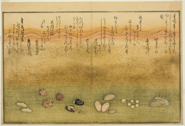 Sudare-gai, hana-gai, sakura-gai, mumeno-gai, nadeshiko-gai, and kinuta-gai, from the illu..., 1789. Creator: Kitagawa Utamaro.