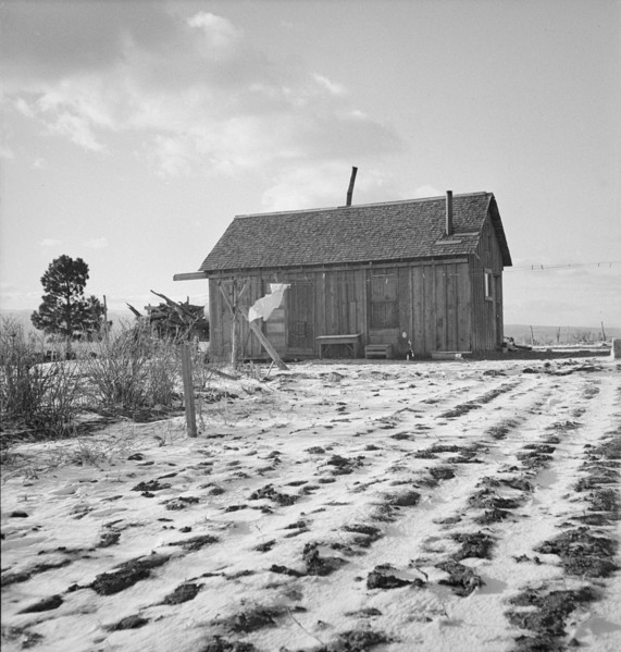 Widtsoe farm home, Resettlement Administration purchase, Utah, 1936. Creator: Dorothea Lange.