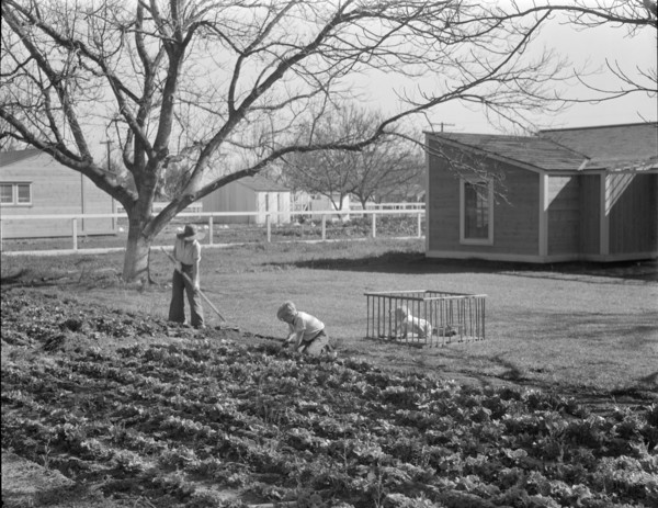 El Monte federal subsistence homesteads, California, 1936. Creator: Dorothea Lange.