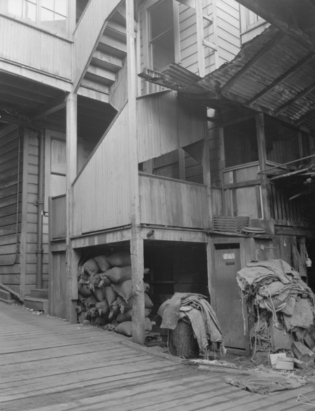 Backyard, North Beach District (Italians), San Francisco, California, 1936. Creator: Dorothea Lange.