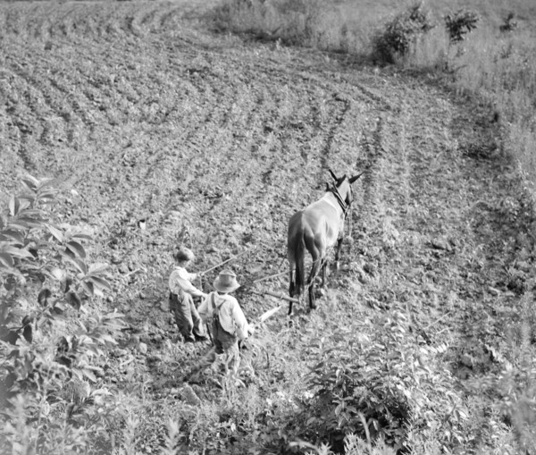 The older brother teaches the younger on a farm in the Piedmont, North Carolina, 1936. Creator: Dorothea Lange.