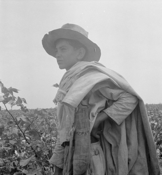 Cotton picking in south Texas, 1936. Creator: Dorothea Lange.