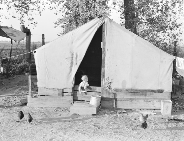 Migratory orange picker's camp, Exeter, California, 1936. Creator: Dorothea Lange.