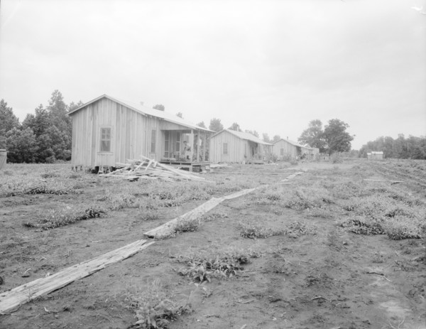 New cabins at Hill House, Mississippi, 1936. Creator: Dorothea Lange.