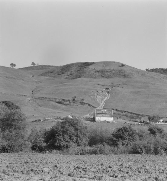 Soil erosion in California hills, small dairy ranch near Gibson, California, 1937. Creator: Dorothea Lange.