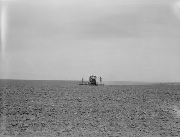 Harrowing a 2,000 acre wheat field, Antelope Valley, Los Angeles County, California, 1937. Creator: Dorothea Lange.