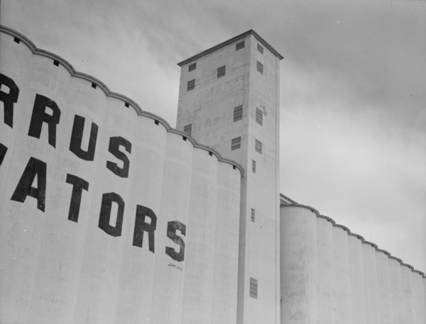 Western Texas grain elevator, 1937. Creator: Dorothea Lange.